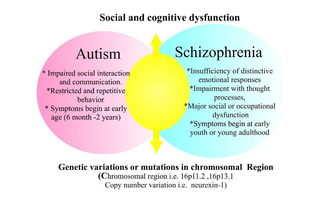 Comparative Genomics Of Autism And Schizophrenia 