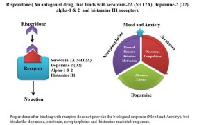 Risperidone or Risperdal