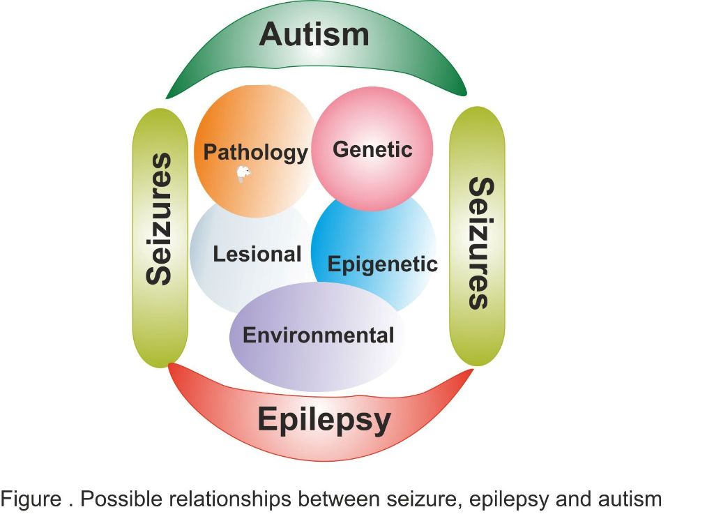 Autism, Epilepsy and Seizures